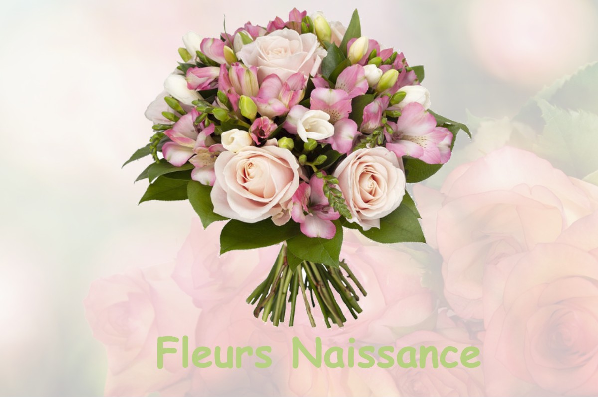 fleurs naissance LE-MESNIL-RAINFRAY