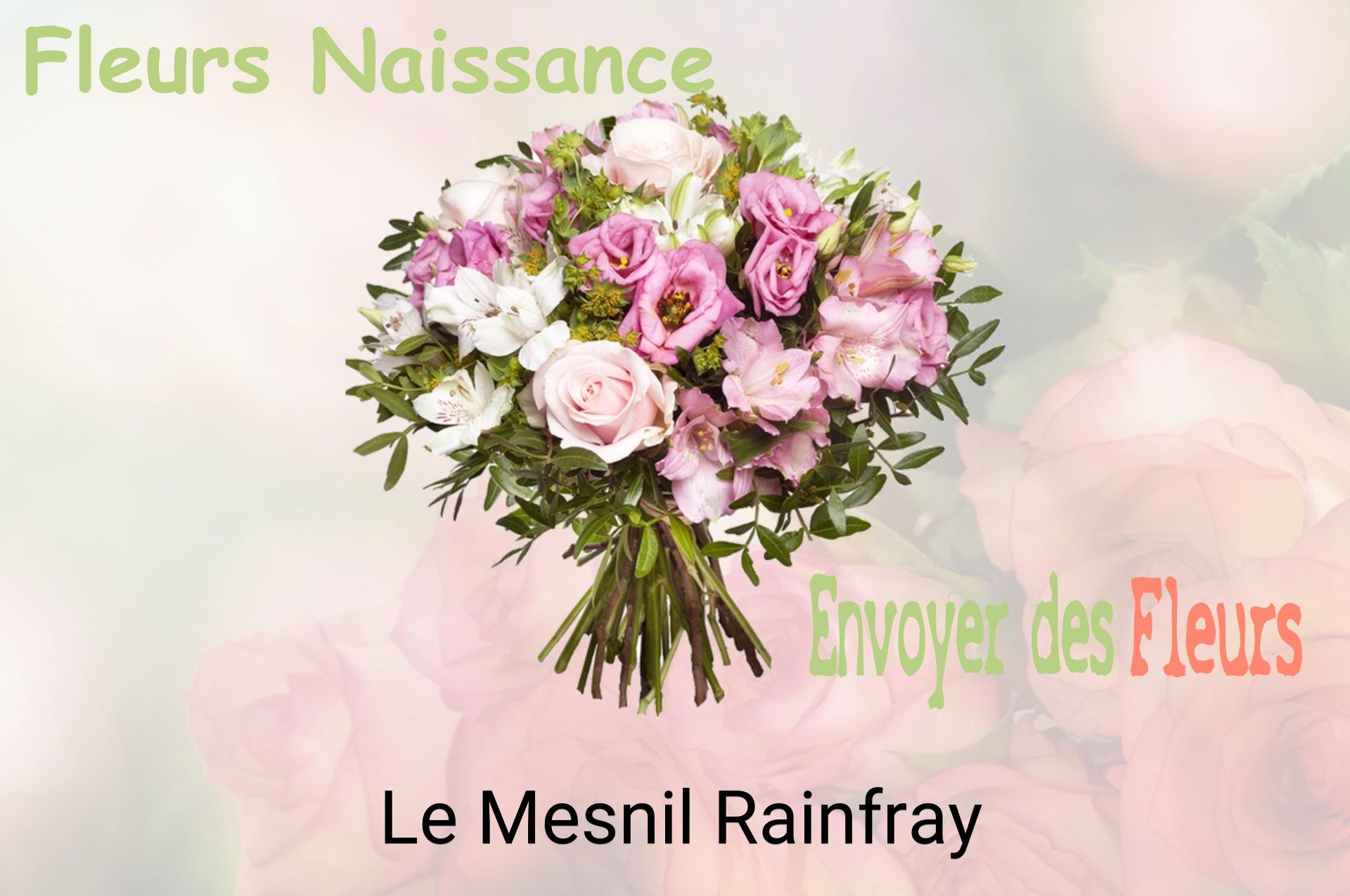 Bouquet de fleurs de naissance livré à Le Mesnil-Rainfray